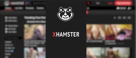 sites like xhamster|Top Sites Like xhamester.com